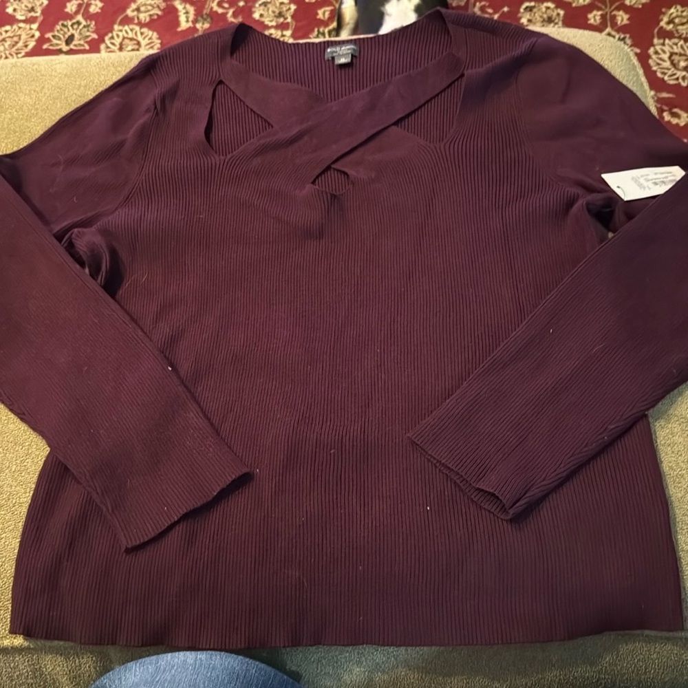 Bold Elements Woman Cut to Curve Purple Sweater 2X (TD)